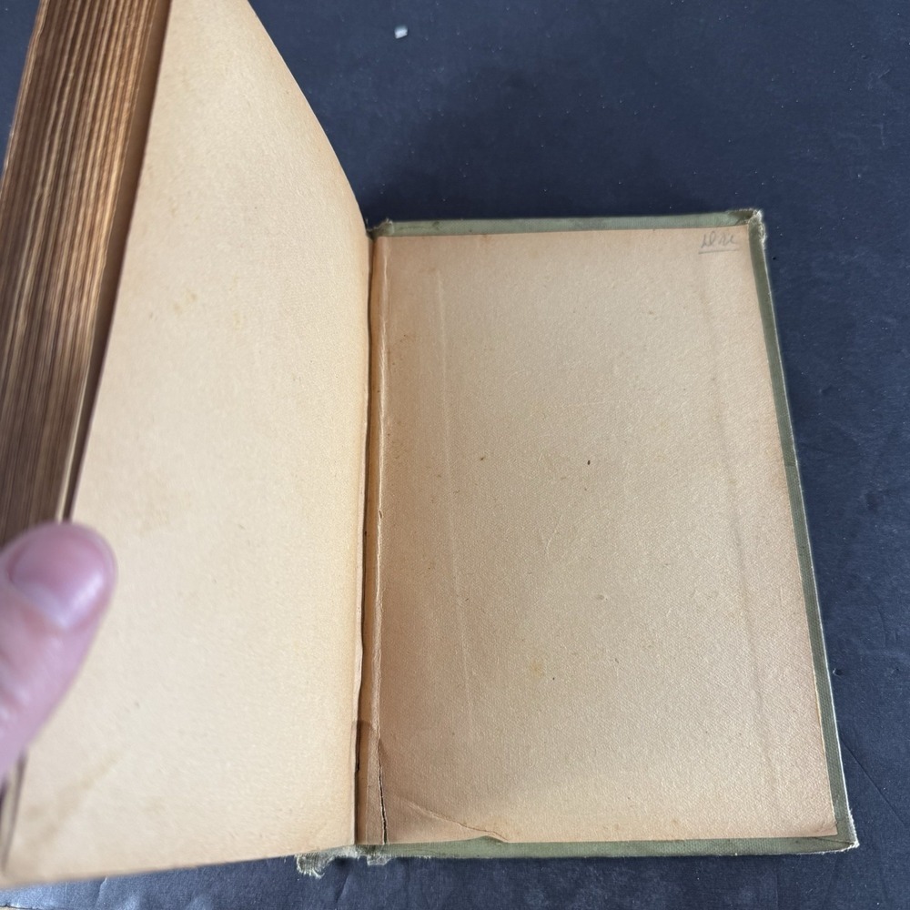 Edgar Allen Poe Arlington Edition Memoir Of The Poet 1882 Hardcover Book Poems - Picture 14 of 16